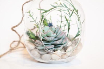 Lovely Whimsical Glass Terrarium with Artificial Succulents and Plants in Light Greens and Blue Tones - image4